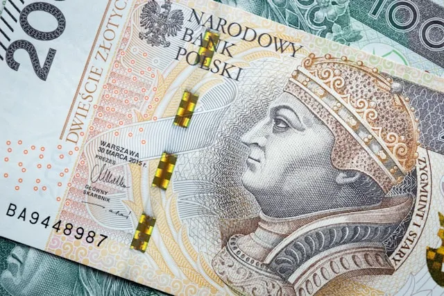 A polish banknote