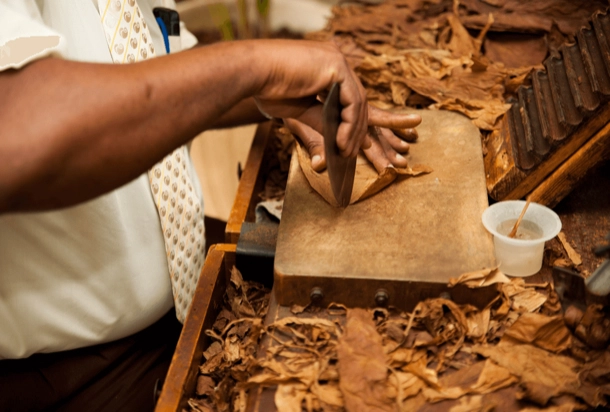 The image shows a close-up of a person’s hands working with tobacco leaves on a wooden surface, which appears to be part of the process of making cigars. This is interesting as it provides insight into the traditional craftsmanship involved in cigar production.