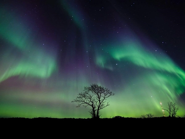 Aurore boréale illuminant le ciel nocturne, phénomène naturel résultant de la collision de particules solaires avec l'atmosphère terrestre.