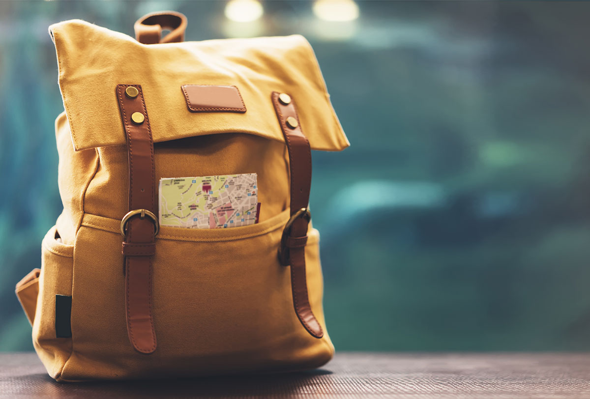 Traveller's backpack